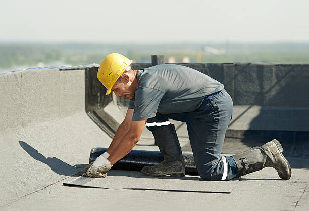 Best Professional Insulation Contractor  in Brainerd, MN